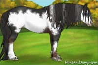 Horse Color:Liver Chestnut Frame 