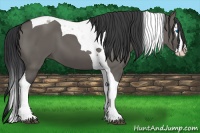 Horse Color:Grullo Splash Tobiano 