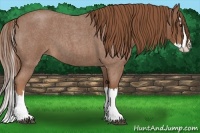 Horse Color:Red Roan Splash 