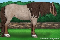 Horse Color:Liver Red Dun Roan 