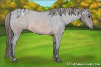 Horse Color:Brown Roan Varnish 