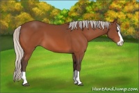 Horse Color:Silver Brown Splash 