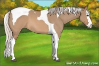 Horse Color:Silver Brown Roan Dun Splash Tobiano