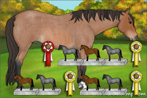 Horse Color: Bay Roan 