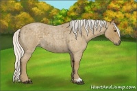 Horse Color:Silver Smoky Blue Roan