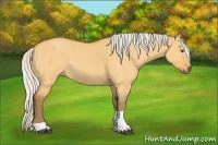 Horse Color:Silver Buckskin Dun Tobiano 