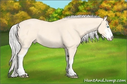 Horse Color:Silver Perlino Roan Sabino 