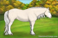 Horse Color:Silver Perlino Roan Sabino