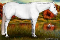 Horse Color:Red Dun Roan Near Leopard 