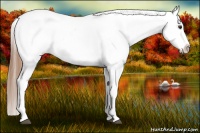 Horse Color:Red Dun Near Fewspot 