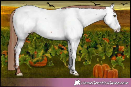 Horse Color:Chestnut Near Fewspot 