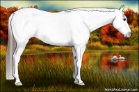 Horse Color:Grullo Fewspot 