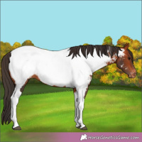 Horse Color:Bay Tobiano Near Fewspot 