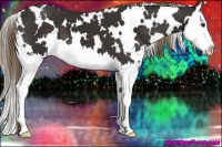 Horse Color:White Spotted Liver Chestnut Splash 