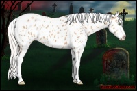Horse Color:Silver Classic Champagne Roan Tobiano Blanket Rabicano 