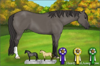 Horse Color:Smoky Grullo