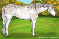 Horse Color:White Spotted Silver Brown Ice Dun Splash