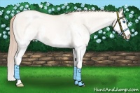 Horse Color:White Spotted Gold Champagne Pearl Dun Splash 