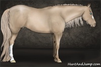 Horse Color:Chocolate Palomino Pearl