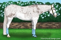 Horse Color:Silver Blue Ice Roan Sabino Splash