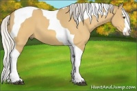 Horse Color:Silver Buckskin Dun Splash Tobiano