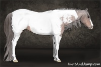 Horse Color:Bay Tobiano Snowcap 