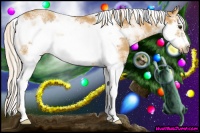 Horse Color:Palomino Sabino Frame 