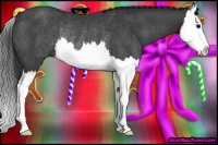 Horse Color:Black Splash Rabicano