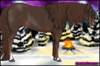 Horse Color:Liver Chestnut Sabino 