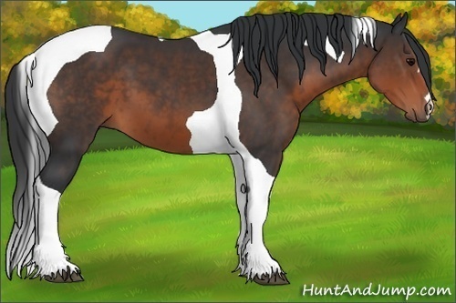 Horse Color: Brown Tobiano 