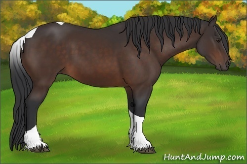 Horse Color: Brown Tobiano 