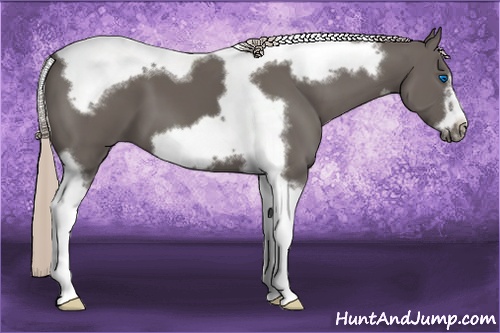 Horse Color: Silver Black Tobiano Frame 