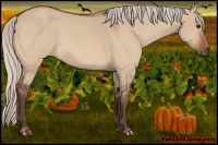 Horse Color:Silver Brown Dun