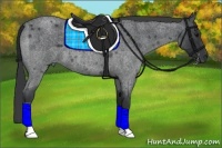 Horse Color:Blue Roan 
