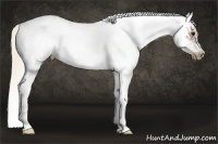 Horse Color:White Spotted Silver Smoky Black Splash Frame 