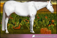 Horse Color:Bay Splash Near Fewspot 