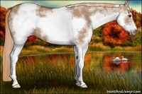 Horse Color:White Spotted Red Dun Frame 