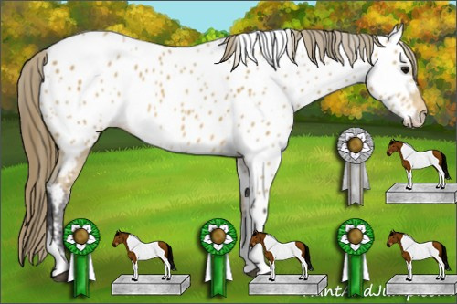 Horse Color: Buckskin Tobiano Near Leopard 