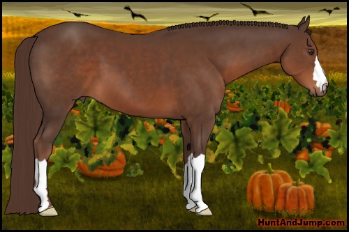 Horse Color: Liver Chestnut 
