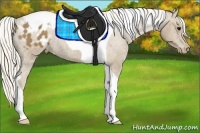 Horse Color:Silver Smoky Black Tobiano Appaloosa Rabicano 
