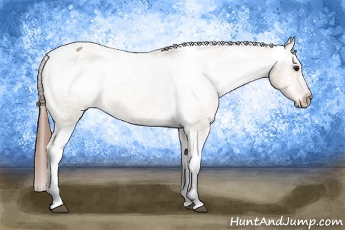 Horse Color: Bay Roan Dun Sabino Snowcap 
