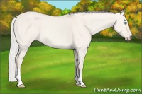 Horse Color:Silver Smoky Creme Dun
