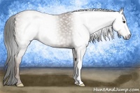 Horse Color:Gray Classic Champagne 