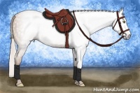 Horse Color:Gray Silver Amber Champagne