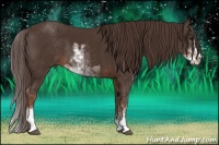 Horse Color:Liver Chestnut Sabino