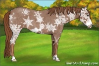 Horse Color:Red Ice Roan Frame 