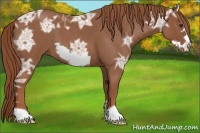 Horse Color:Red Ice Roan Frame 