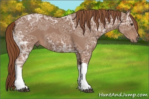 Horse Color: Chestnut Ice 