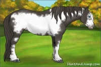 Horse Color:Smoky Black Frame 