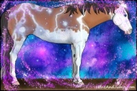 Horse Color:Bay Splash 